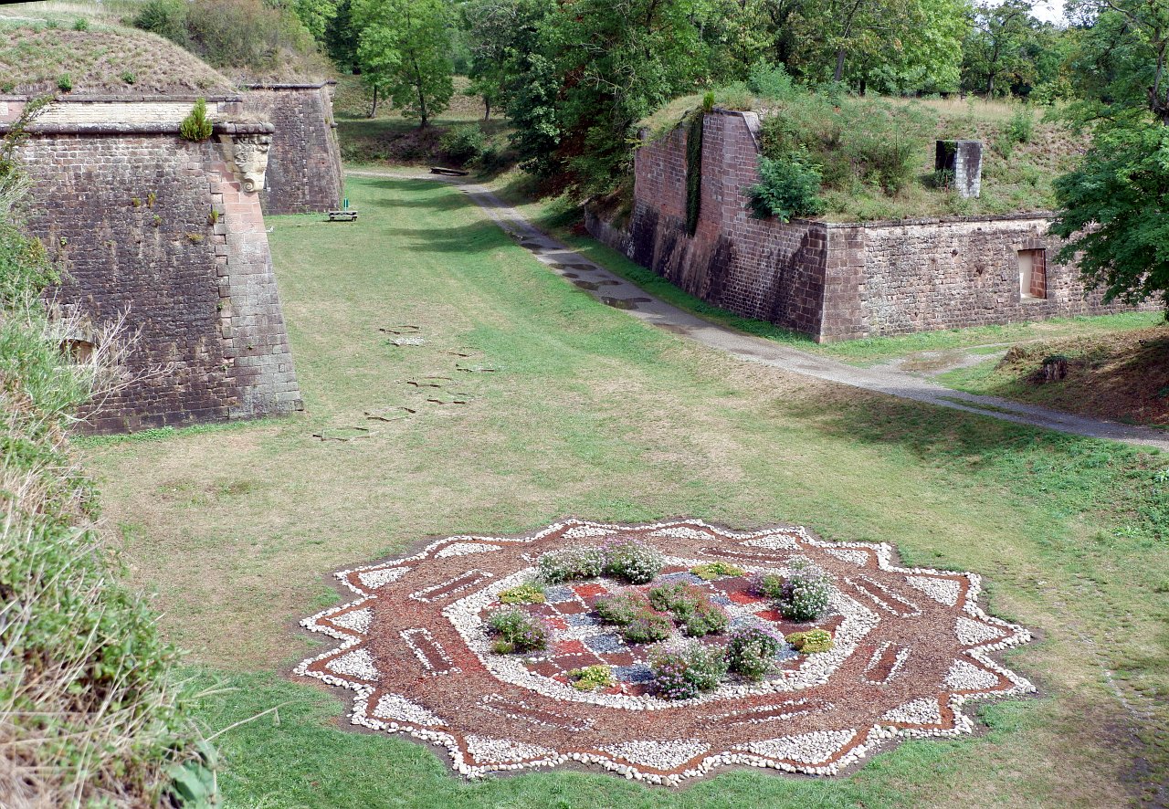 DSCF1814.jpg