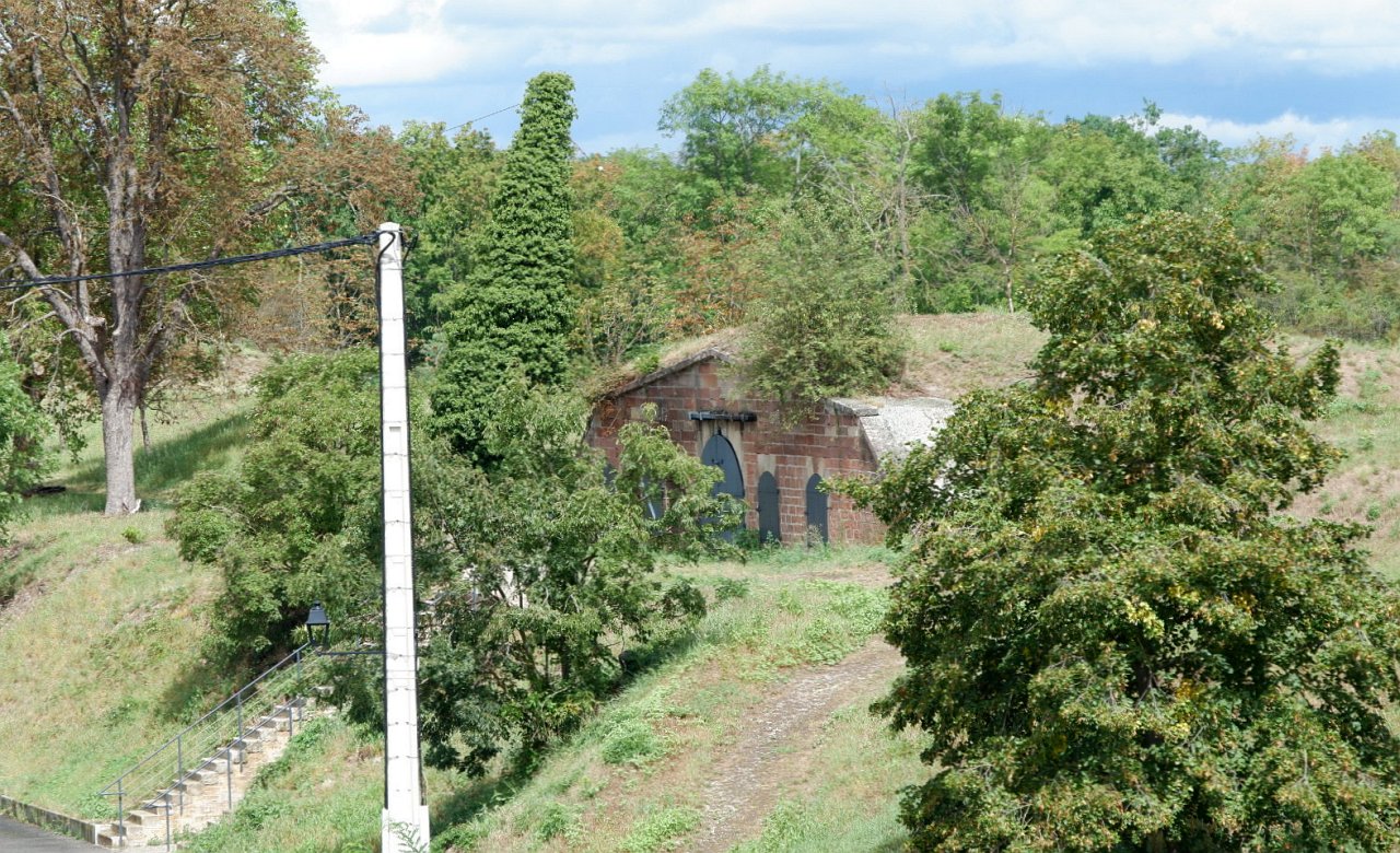 DSCF1817.jpg
