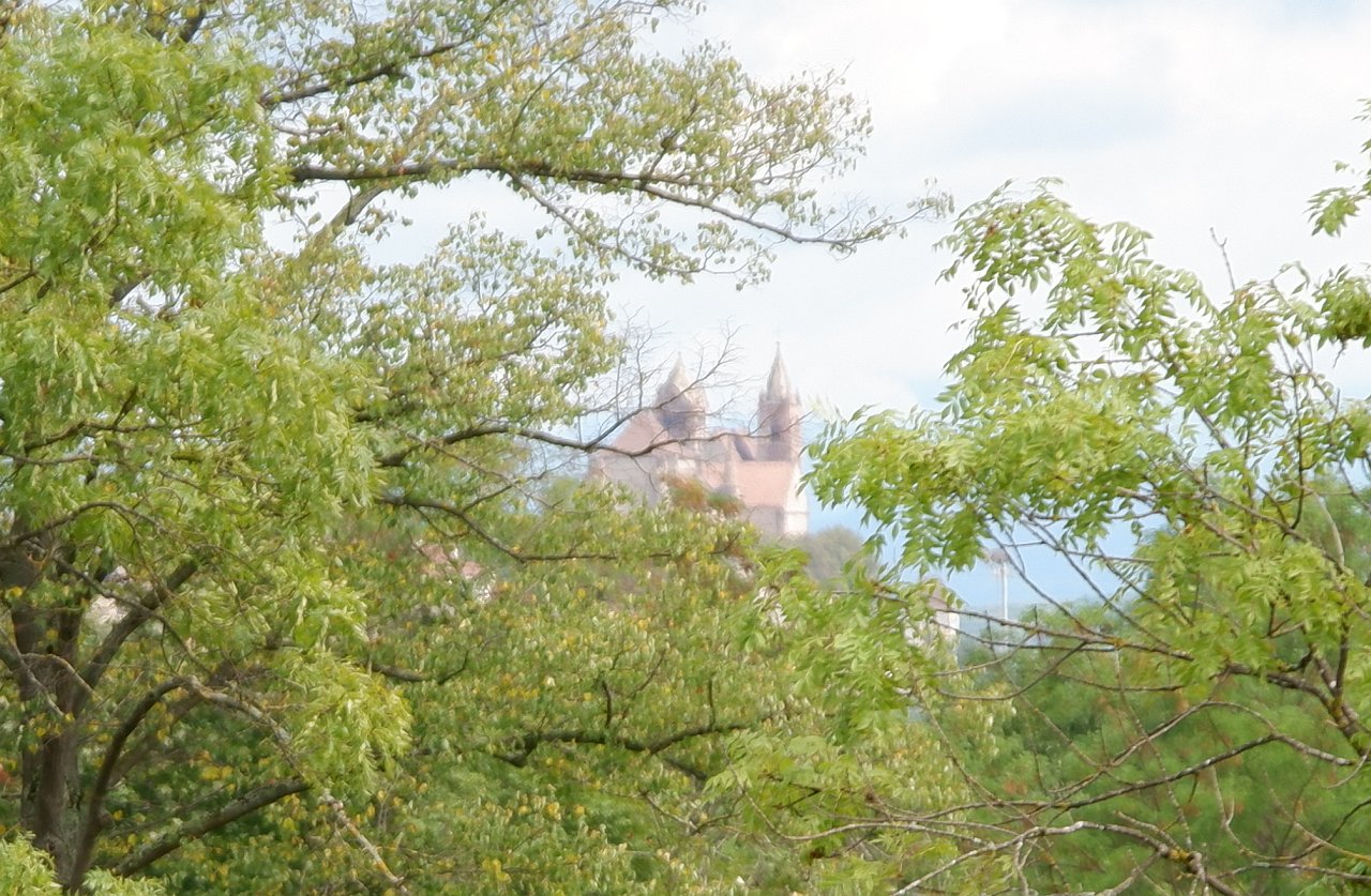 DSCF1822.jpg