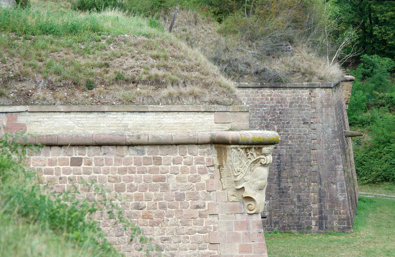 DSCF1823.jpg