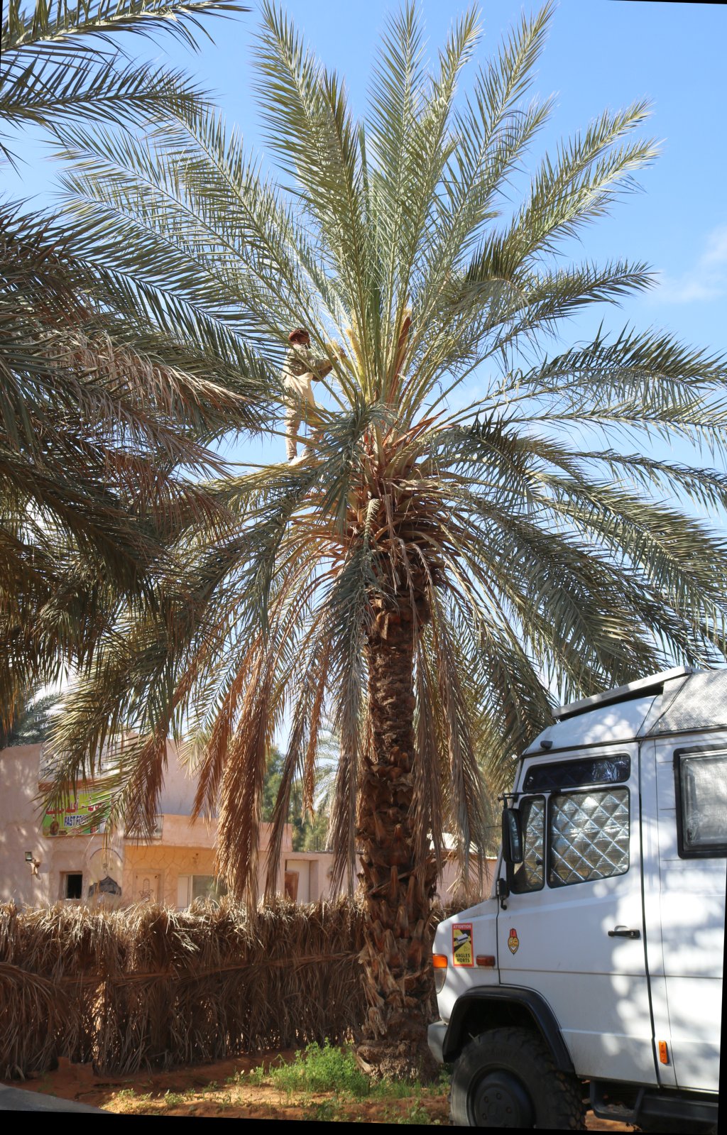 20230322-091052-helmi.jpg