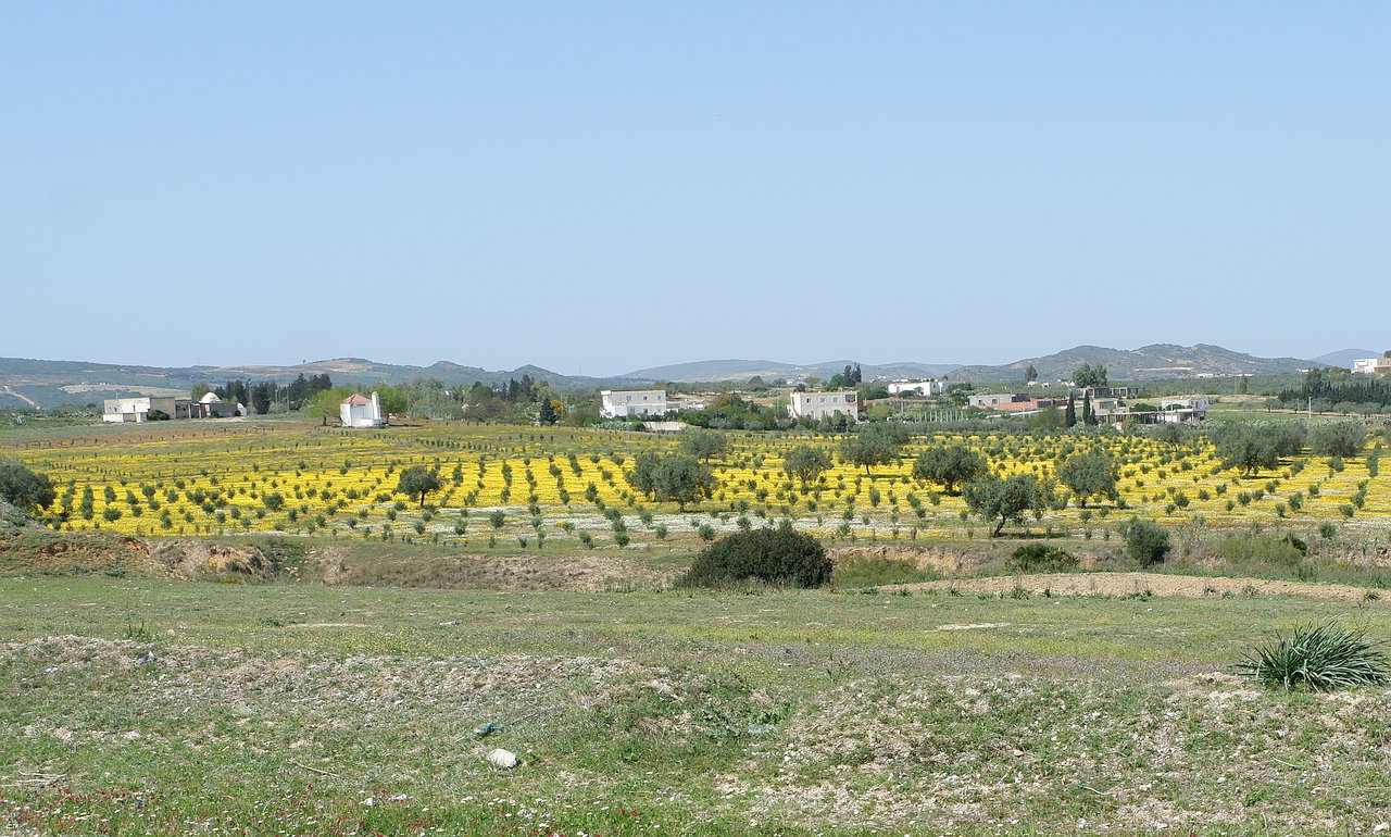 20230412-140218-uli.jpg